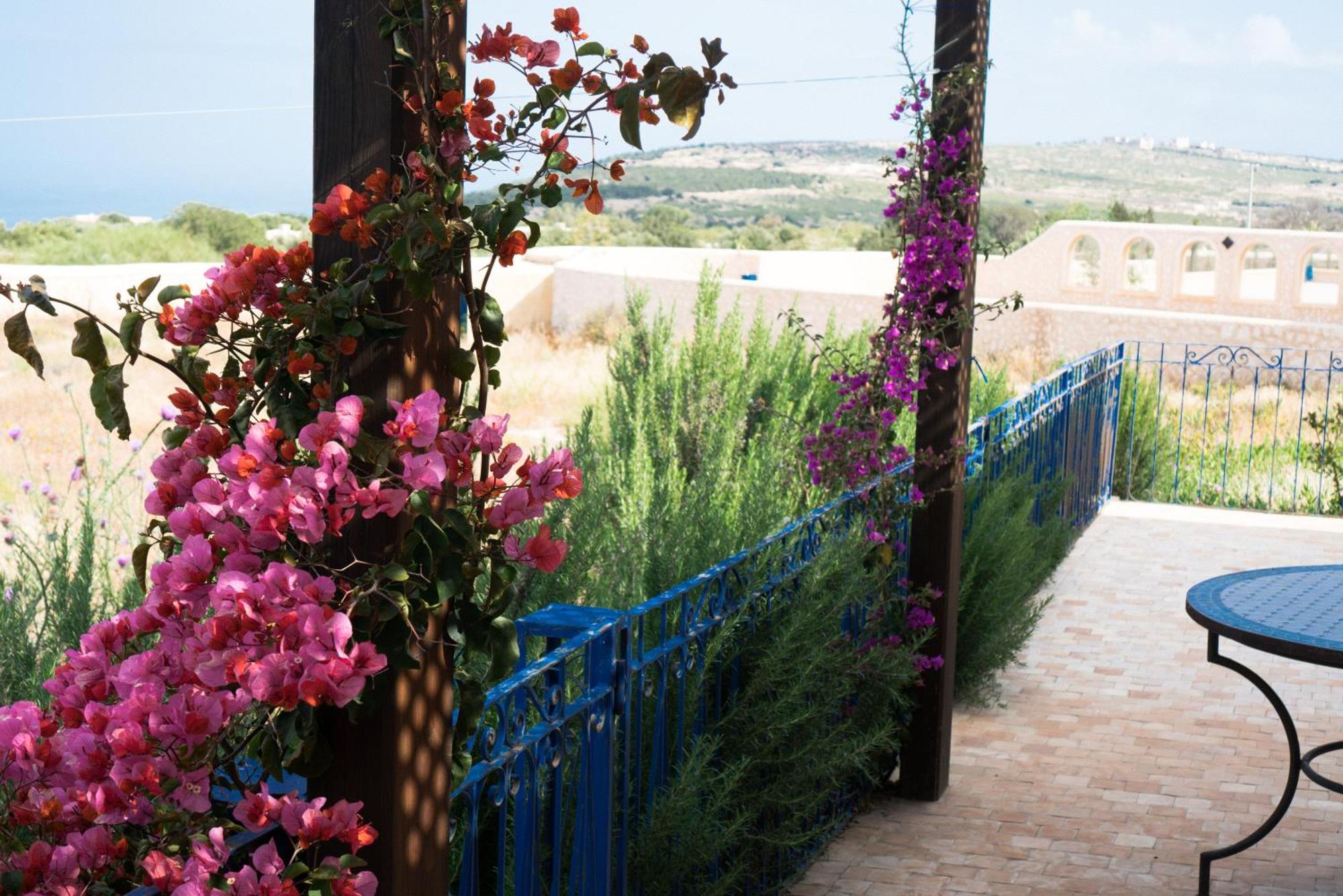 Villa Habibi Essaouira Bagian luar foto